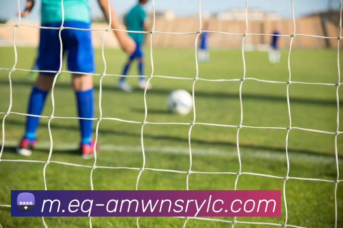 威尼斯人官网服务体系